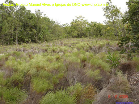 DNO_Festas_017