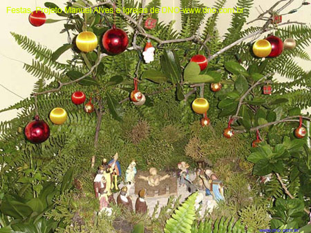 DNO_Festas_021