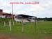 EsporteFutebolReencontro_17072004_002