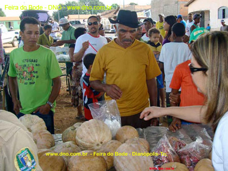 FeiraDoBode_014