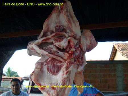 FeiraDoBode_016