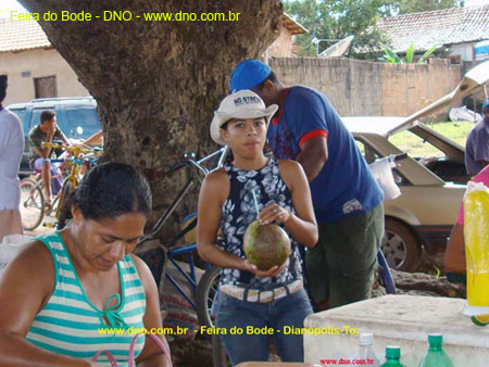 FeiraDoBode_018