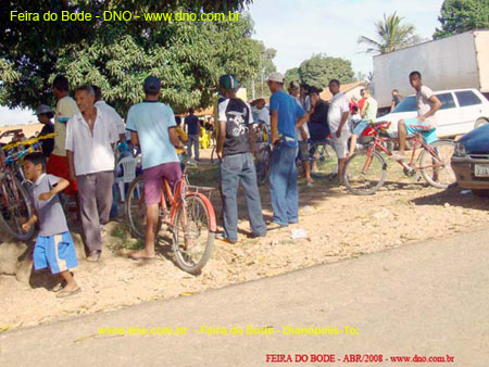 FeiraDoBode_029