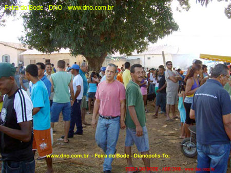 FeiraDoBode_042