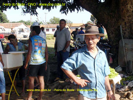 FeiraDoBode_043