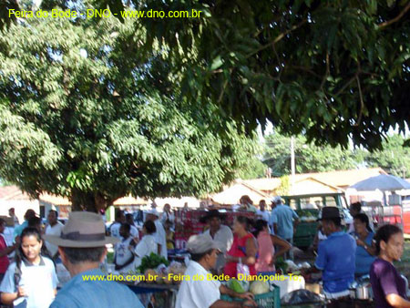 FeiraDoBode_044