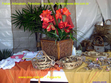 FeiraFecoarte_003