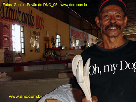 Gente_0408