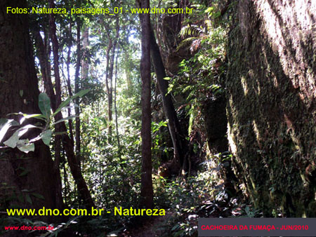 Natureza_0003