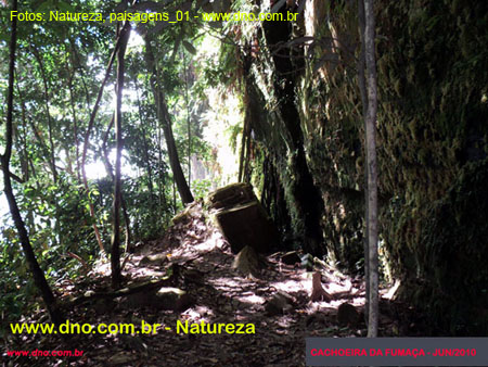 Natureza_0006