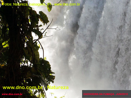 Natureza_0010