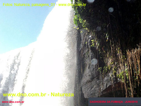 Natureza_0011