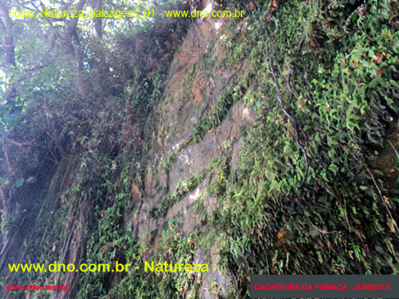 Natureza_0016