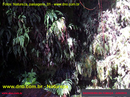 Natureza_0022