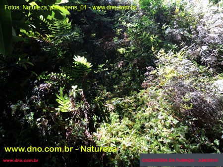 Natureza_0023