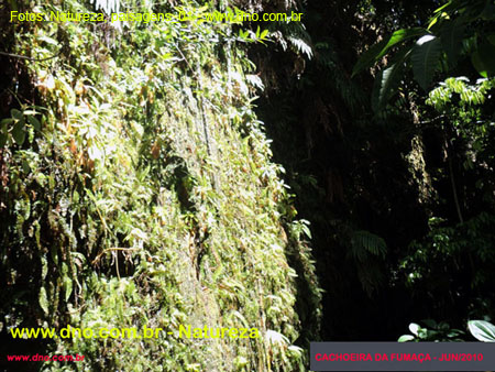 Natureza_0024