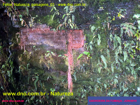 Natureza_0025