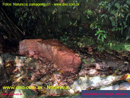 Natureza_0026