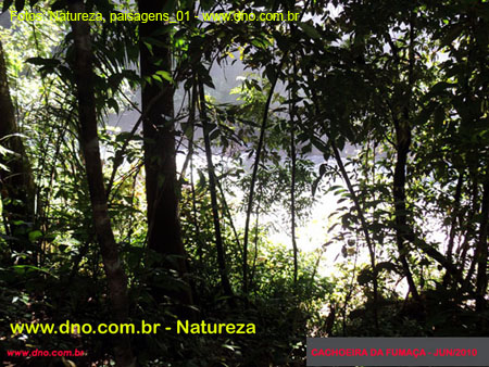 Natureza_0027