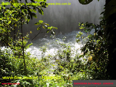 Natureza_0028