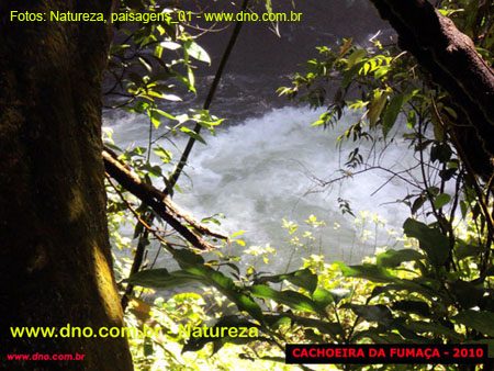 Natureza_0029