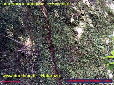 Natureza_0030