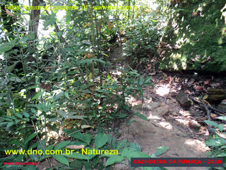 Natureza_0031