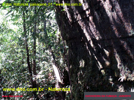 Natureza_0039