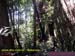 Natureza_0003