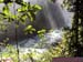 Natureza_0005