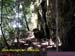 Natureza_0006