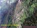 Natureza_0016