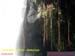 Natureza_0017
