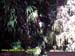 Natureza_0022