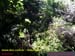Natureza_0023