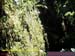 Natureza_0024