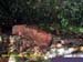 Natureza_0026