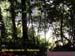 Natureza_0027