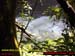 Natureza_0029