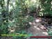 Natureza_0031