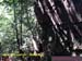 Natureza_0039