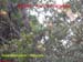 Natureza_0051