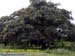 Natureza_0056