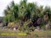 Natureza_0059