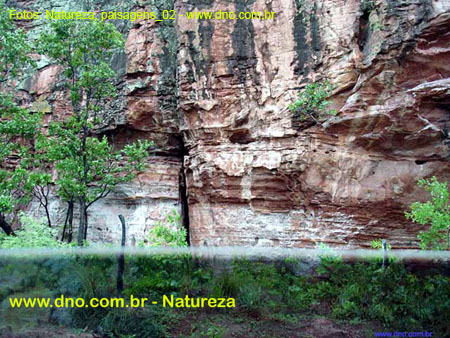 Natureza_0090
