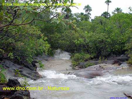 Natureza_0093