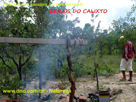 Natureza_0103