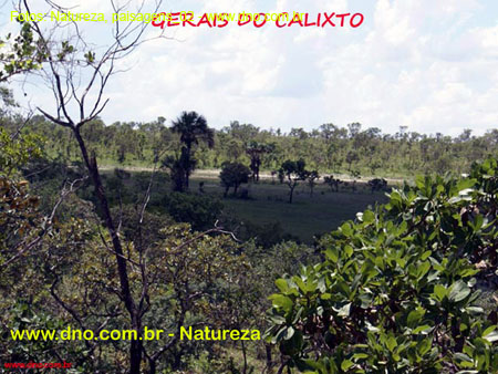 Natureza_0106