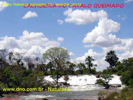 Natureza_0108
