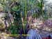 Natureza_0098